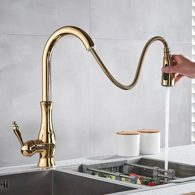 LumaGleam Gold Kitchen Faucet With Pull Out Sprayer OpalDwell
