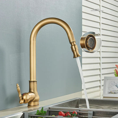 AstraNova Vintage Brass Kitchen Faucet With Swivel Spout And Black Accent OpalDwell