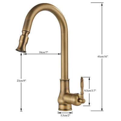 AstraNova Vintage Brass Kitchen Faucet With Swivel Spout And Black Accent OpalDwell