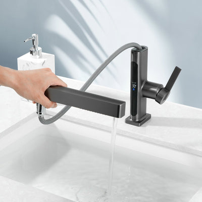 Alyra Single-Hole Pull-Out Faucet With Temperature Readout | OpalDwell OpalDwell