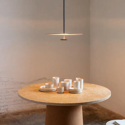 AstraLuma Arc Ring Pendant Light for Modern Living Rooms OpalDwell