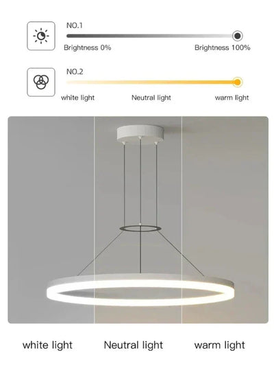 ChicRadiance - Slim hanging lamp | OpalDwell - OpalDwell