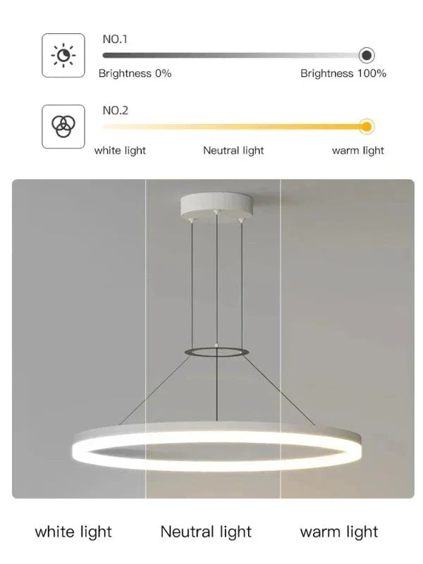 ChicRadiance - Slim hanging lamp | OpalDwell - OpalDwell