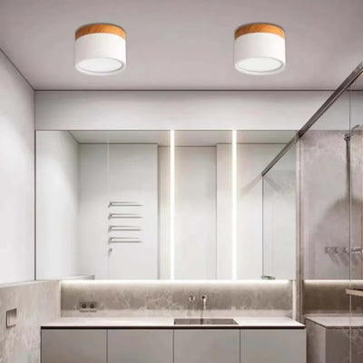 Lunara Nordic LED Ceiling Light for Hallways and Living - OpalDwell