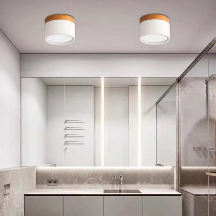 Lunara Nordic LED Ceiling Light for Hallways and Living - OpalDwell