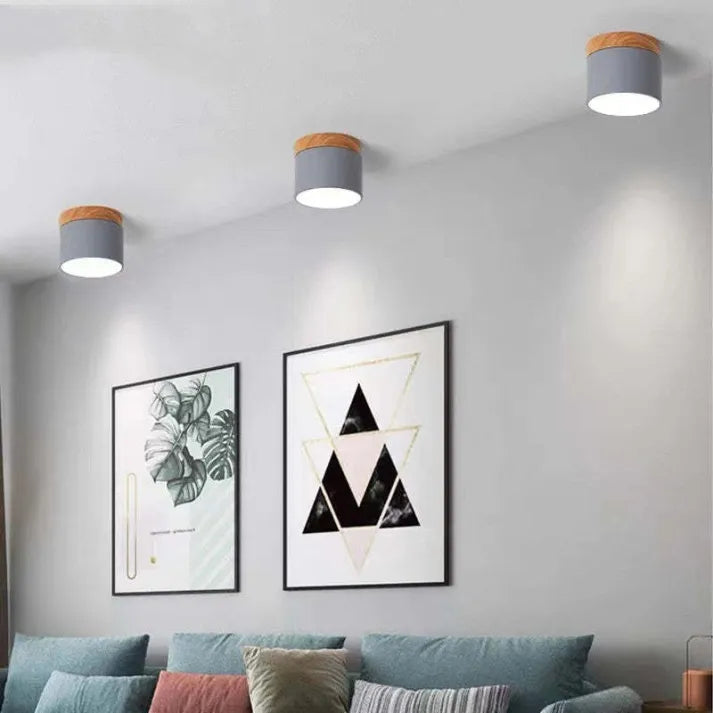 Lunara Nordic LED Ceiling Light for Hallways and Living - OpalDwell