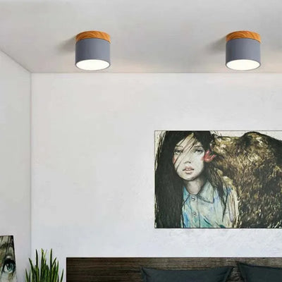 Lunara Nordic LED Ceiling Light for Hallways and Living - OpalDwell