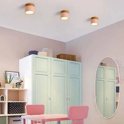 Lunara Nordic LED Ceiling Light for Hallways and Living - OpalDwell