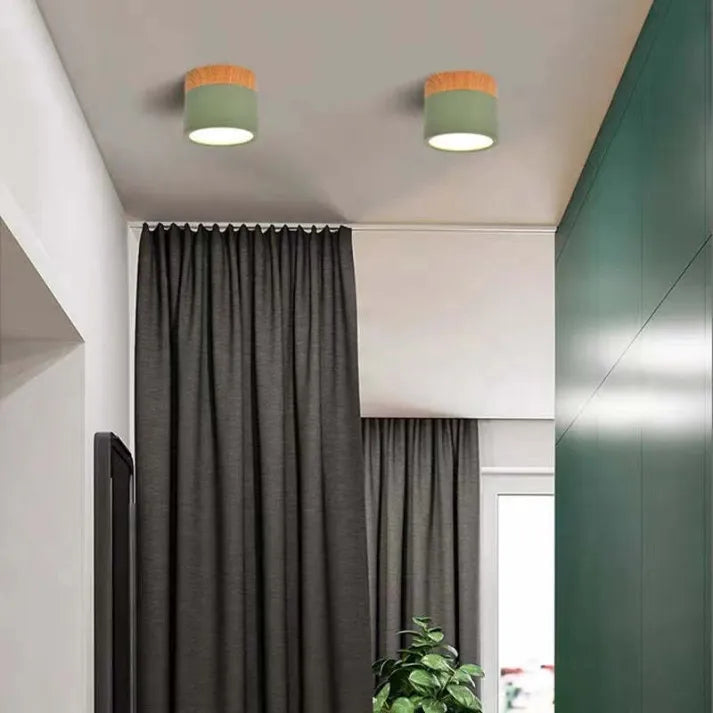 Lunara Nordic LED Ceiling Light for Hallways and Living - OpalDwell