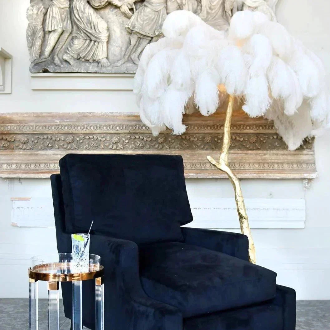 AstraLoom Ostrich Feather LED Floor Lamp with Adjustable Height and Soft Glow OpalDwell