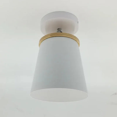 Aurelia Macaron Ceiling Light With Soft Glow Finish - OpalDwell