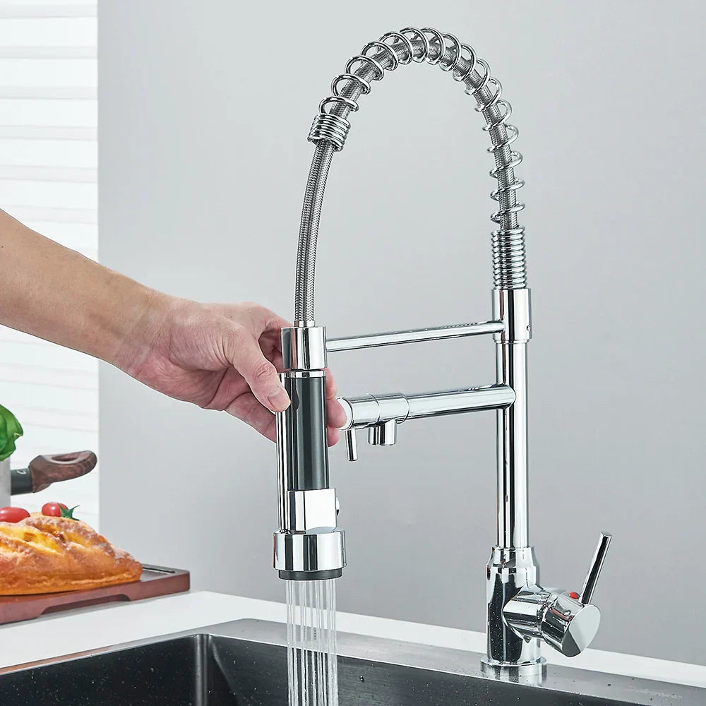 FluxSpout Dual Kitchen Mixer Tap With Spring Spout Finish - OpalDwell