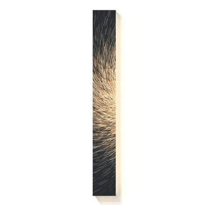 Ardena Canvas Strip Wall Lamp - OpalDwell