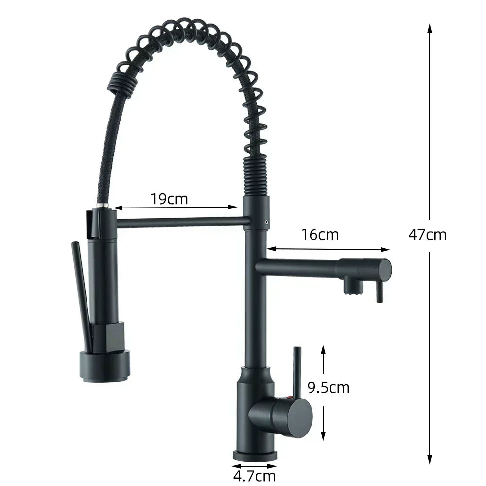 FluxSpout Dual Kitchen Mixer Tap With Spring Spout Finish - OpalDwell