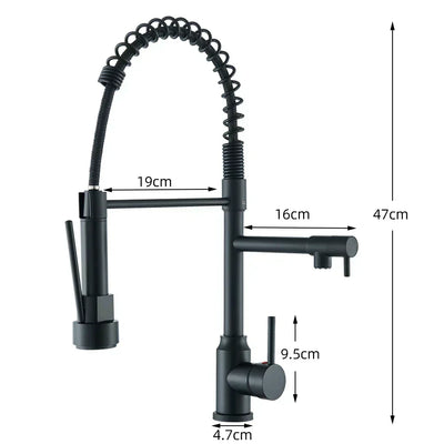 FluxSpout Dual Kitchen Mixer Tap With Spring Spout Finish - OpalDwell
