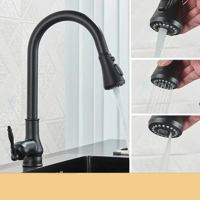 AstraNova Vintage Brass Kitchen Faucet With Swivel Spout And Black Accent OpalDwell
