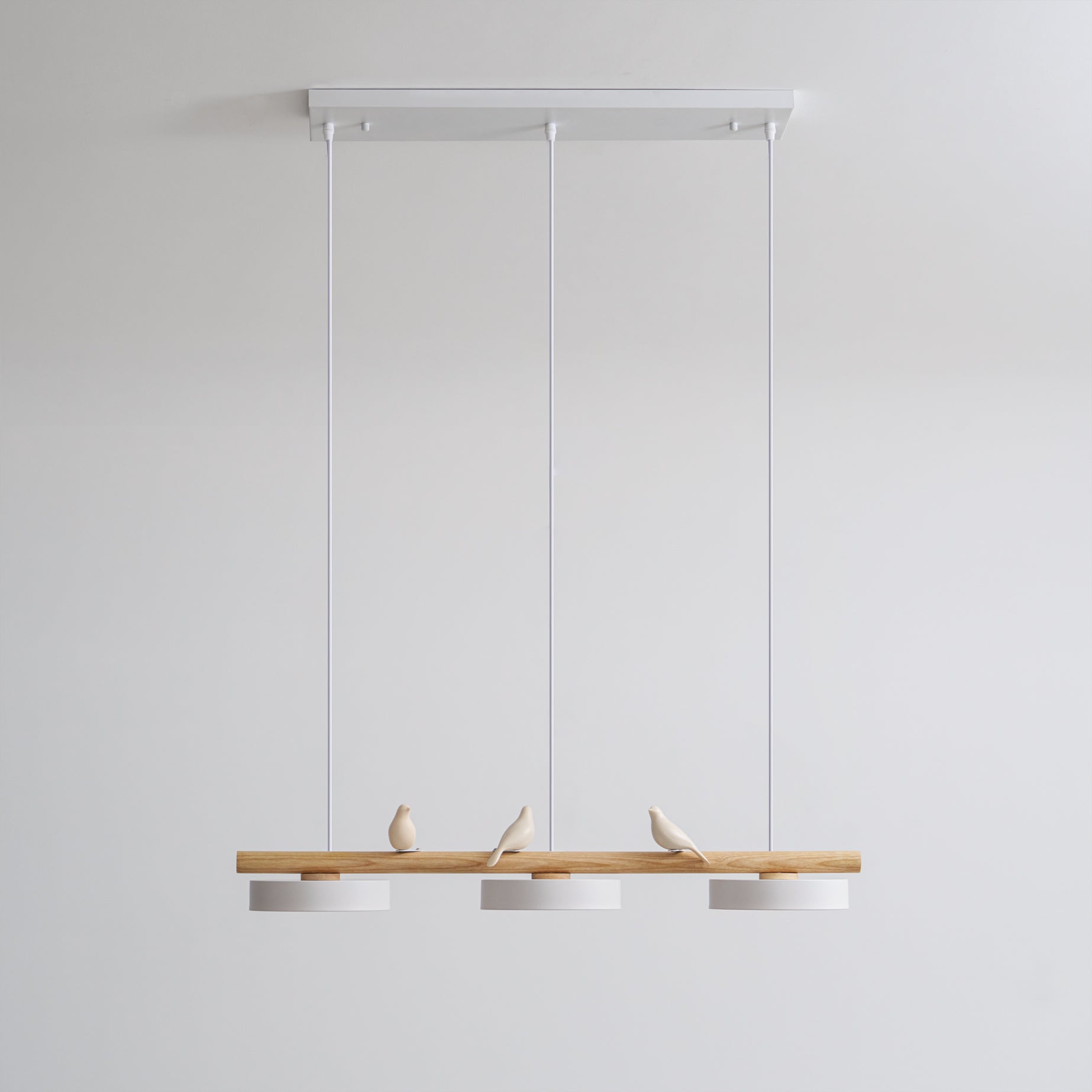 LyraNest Bird Pendant Light Nature Inspired Lamp For Home OpalDwell