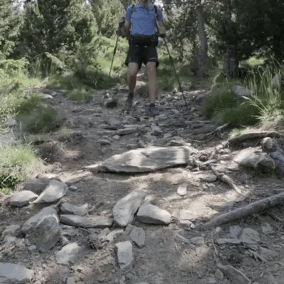 PeakGlide Telescopic Trekking Poles With Easy Clamp - OpalDwell