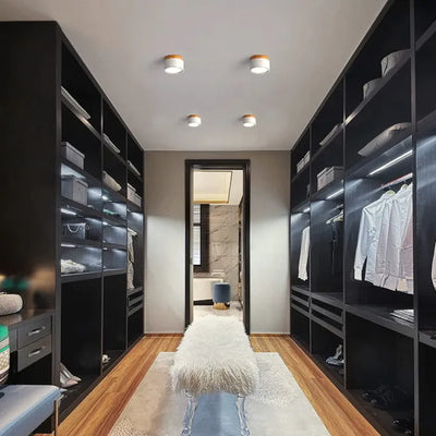 Lunara Nordic LED Ceiling Light for Hallways and Living - OpalDwell