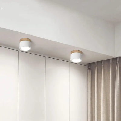 Lunara Nordic LED Ceiling Light for Hallways and Living - OpalDwell