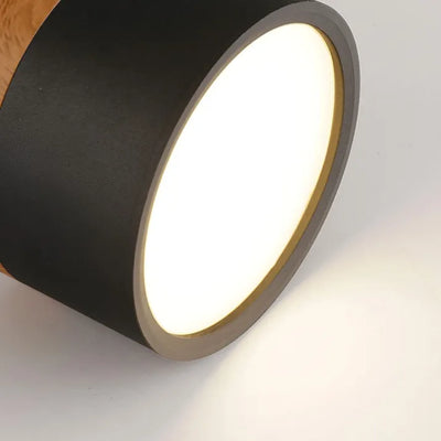 Lunara Nordic LED Ceiling Light for Hallways and Living - OpalDwell