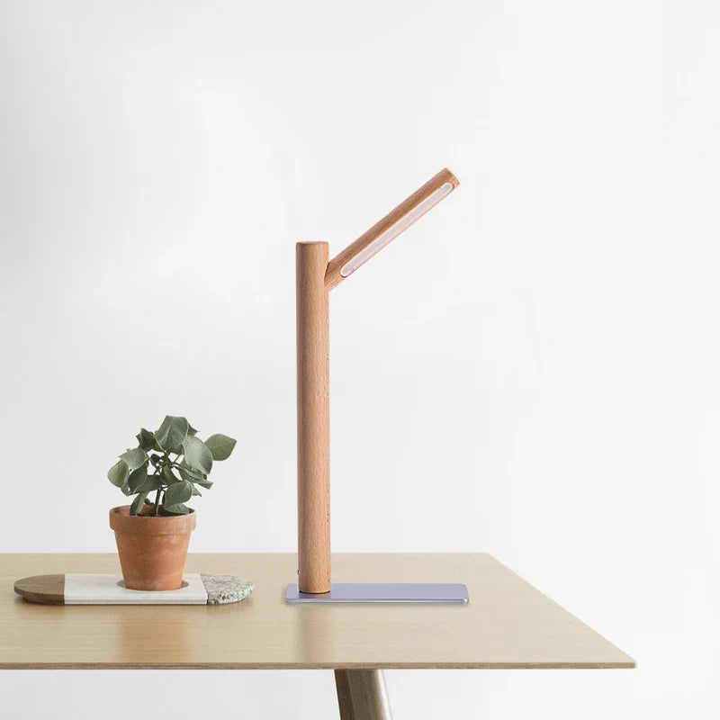 LED Desk Lamp with 360° Adjustable Head - Flexura | OpalDwell - OpalDwell