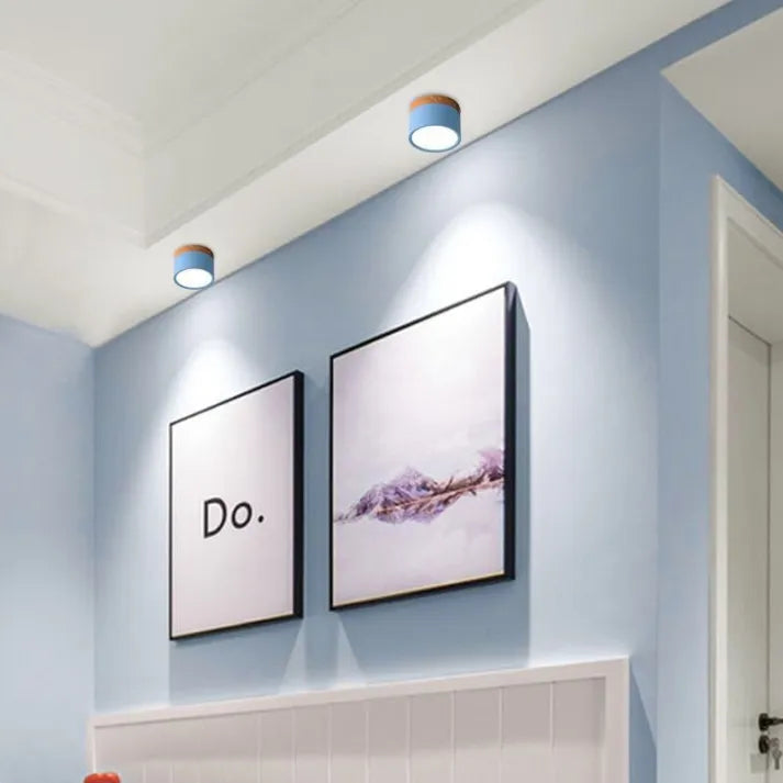 Lunara Nordic LED Ceiling Light for Hallways and Living - OpalDwell