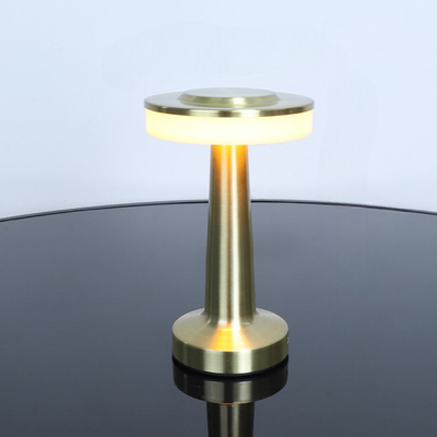 Contemporary Metal Table Lamp, Elegant Decorative Lighting - OpalDwell