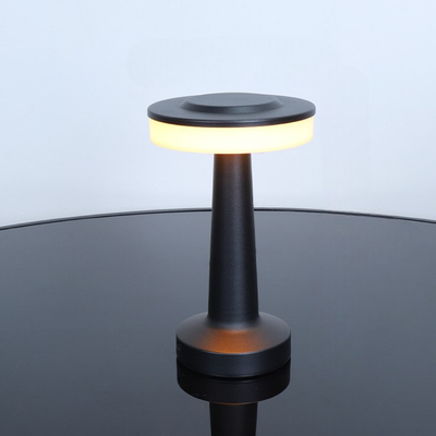 Contemporary Metal Table Lamp, Elegant Decorative Lighting - OpalDwell
