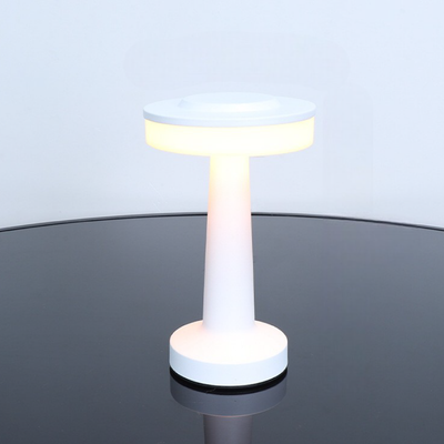 Contemporary Metal Table Lamp, Elegant Decorative Lighting - OpalDwell