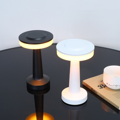 Contemporary Metal Table Lamp, Elegant Decorative Lighting - OpalDwell