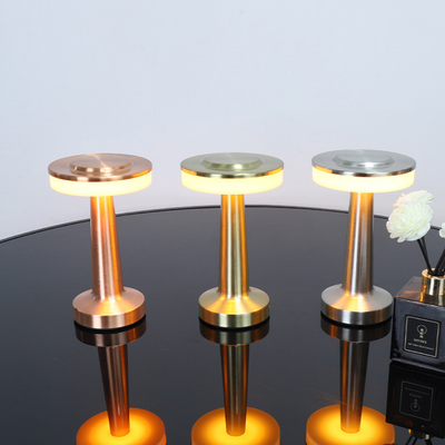 Contemporary Metal Table Lamp, Elegant Decorative Lighting - OpalDwell