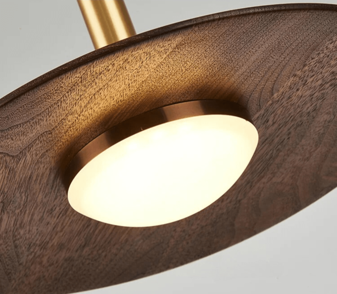 Liora Pendant Lamp | OpalDwell - OpalDwell