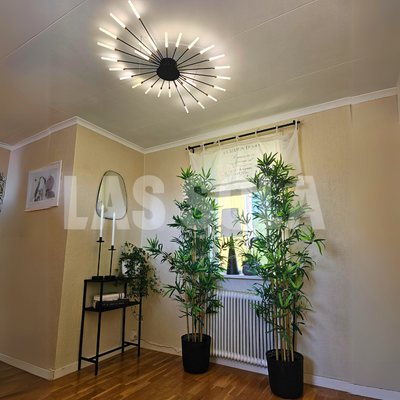 Asterra Modern Ceiling Lamp for Living Room and Bedroom OpalDwell